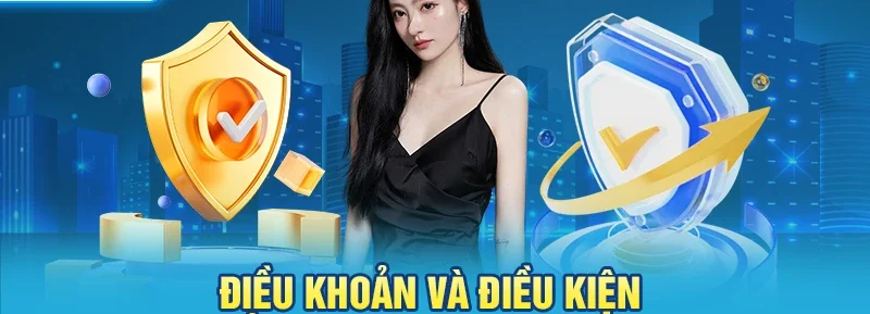 Điều khoản và điều kiện khi sử dụng dịch vụ trên 23WIN
