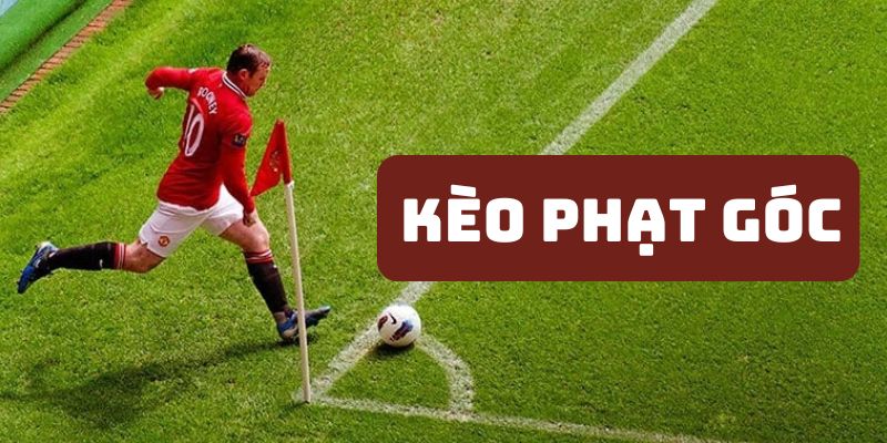Người chơi cần phải thường xuyên theo dõi và phân tích các đội trước khi vào kèo.
