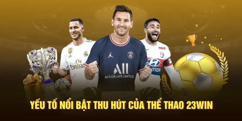 Hệ thống mang đến nhiều dạng cược hấp dẫn tại thể thao 23WIN